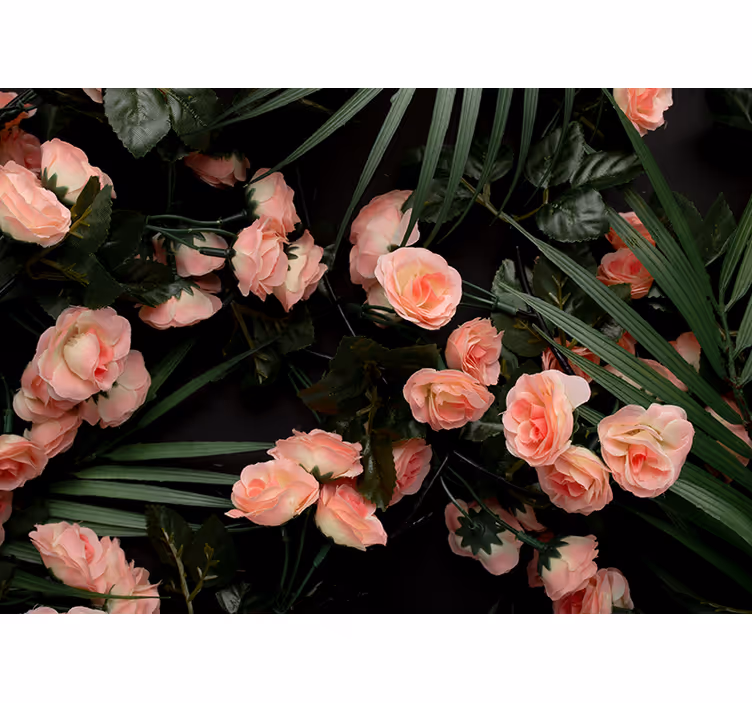 Soft Pink Roses flower mural - TenStickers