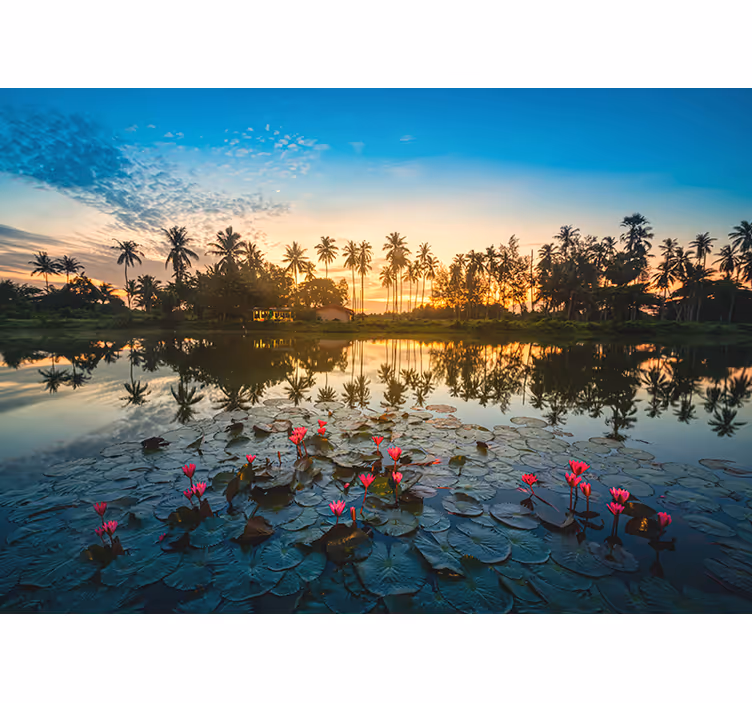 Lotus flower at down wall mural - TenStickers