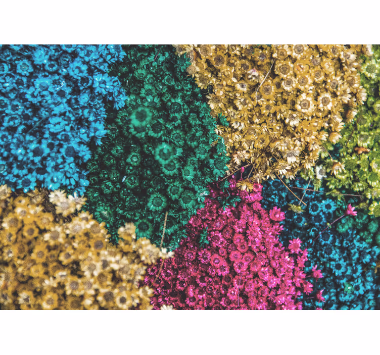 Flower mural colorful floral designs - TenStickers