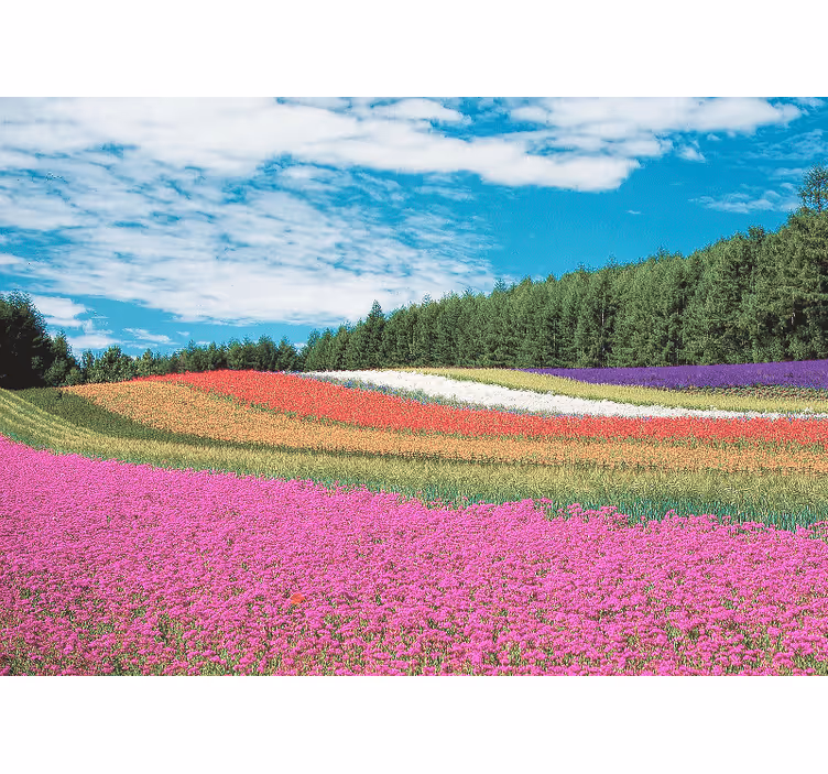 Flower mural vibrant floral landscape - TenStickers