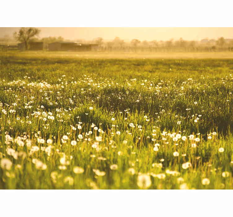 Flower mural dandelion meadow scene - TenStickers
