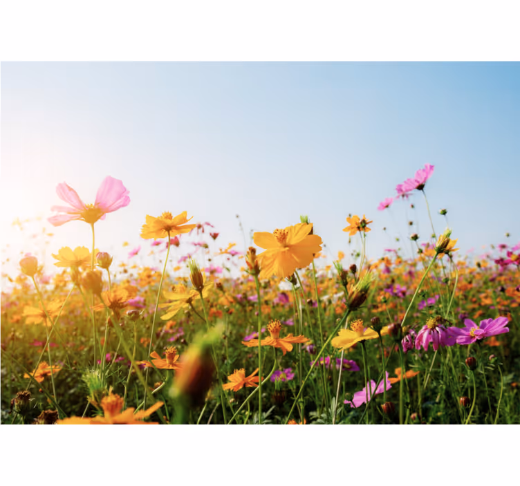 Flower mural colorful blooming flora - TenStickers