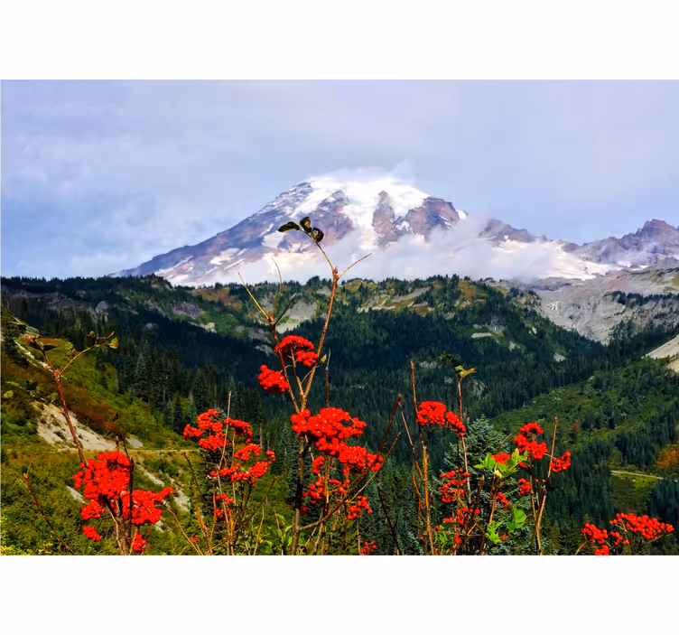 Mountain and red flowers wall mural - TenStickers