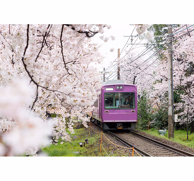 City wall mural cherry blossom train art - TenStickers