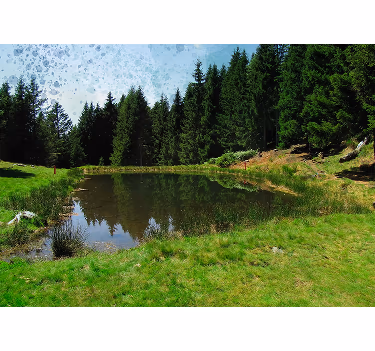 Tranquil forest view landscape mural wallpaper - TenStickers