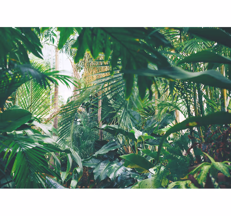Forest vegetation Green leaves wall mural - TenStickers