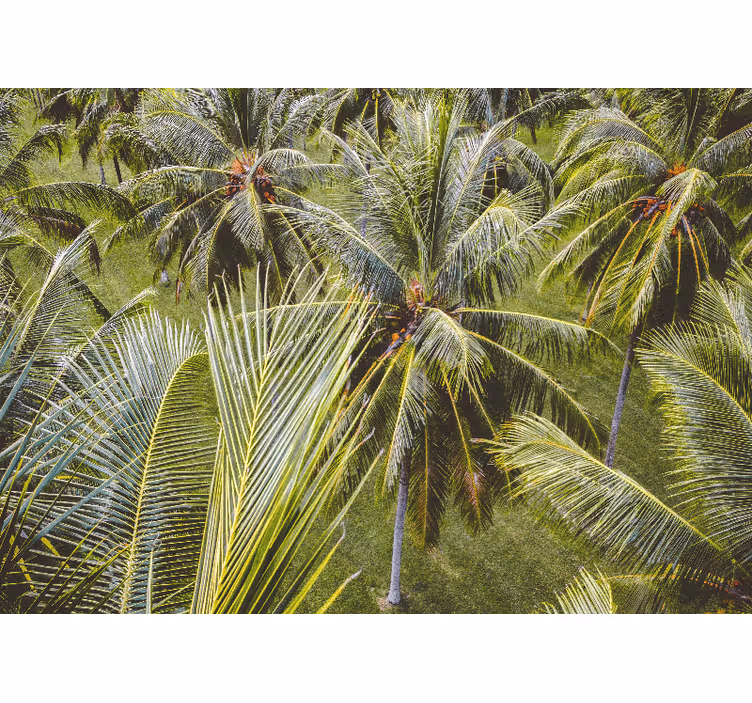 Nature wall mural lush palm fronds - TenStickers