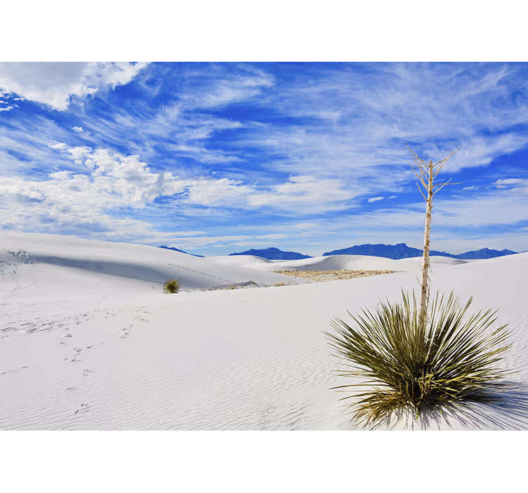 Plants in the desert Home office Wall Mural - TenStickers