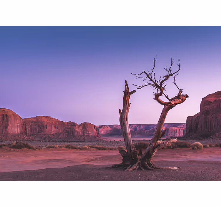 Pink desert landscape Home office Wall Mural - TenStickers