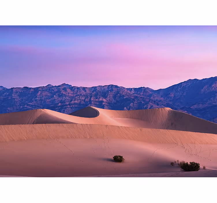 Desert mural golden dunes landscape - TenStickers