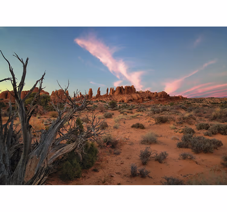 Sunset landscape Desert Wall Mural - TenStickers