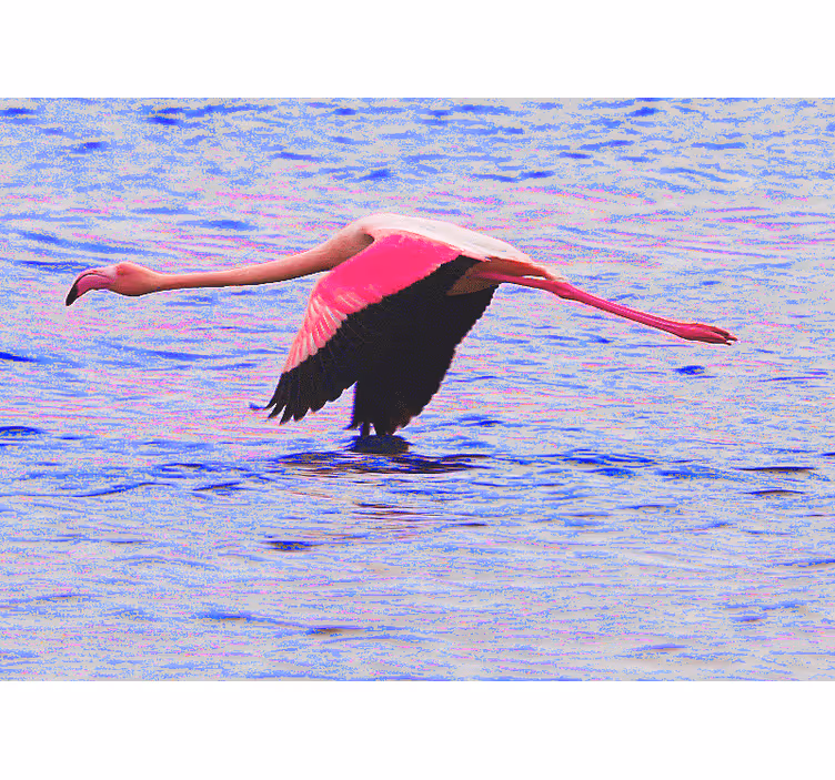 Flamingo in flight wall mural - TenStickers