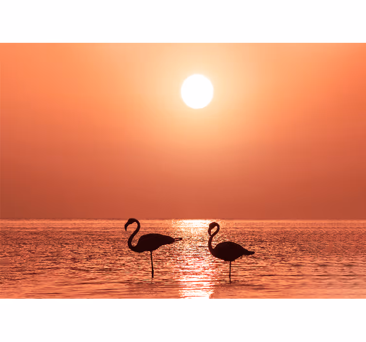 Sunrise flamingos in the water Hallway Mural - TenStickers