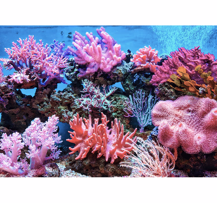 Aquatic Coral Scene sea mural - TenStickers