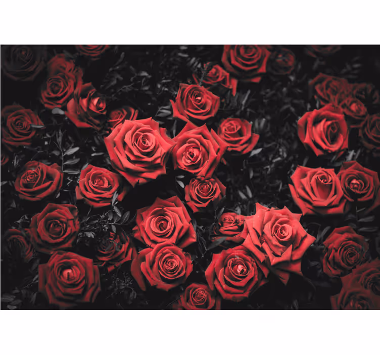 Black and white red roses flower wall mural - TenStickers
