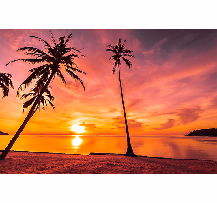 Nature wall mural tropical sunset view - TenStickers