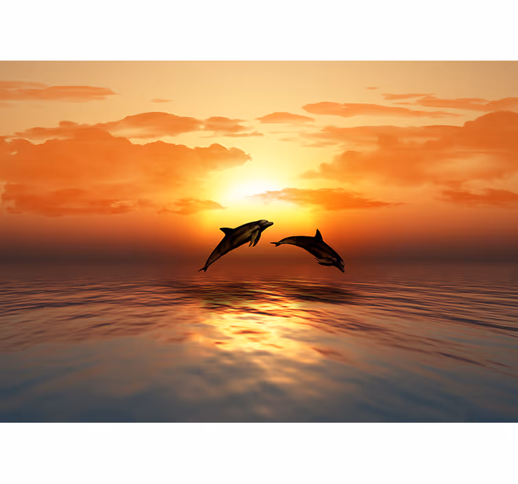 Dolphins Jumping Sunset animal wall mural - TenStickers