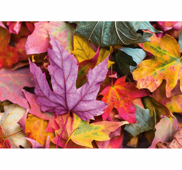 Flower mural with vibrant leaf patterns - TenStickers