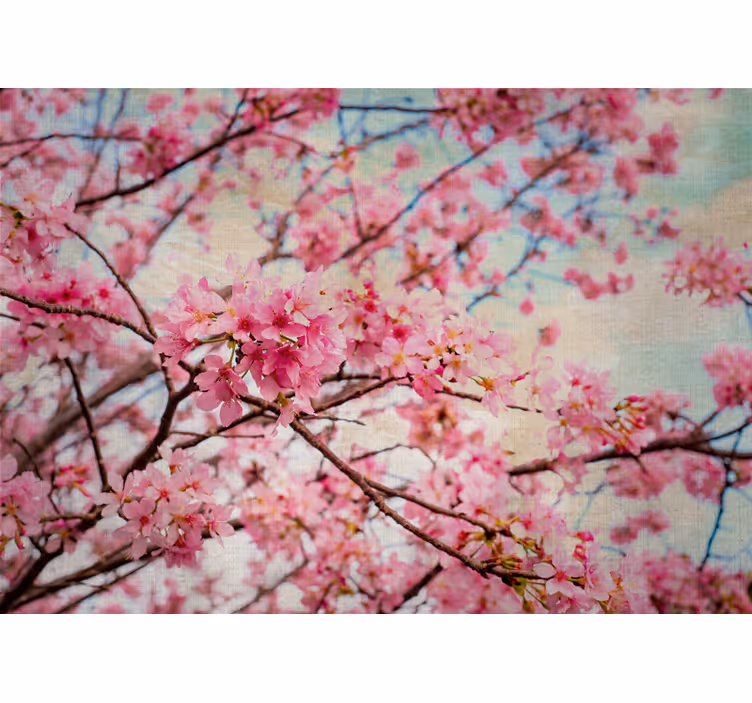 Flower mural sakura branches wall art - TenStickers