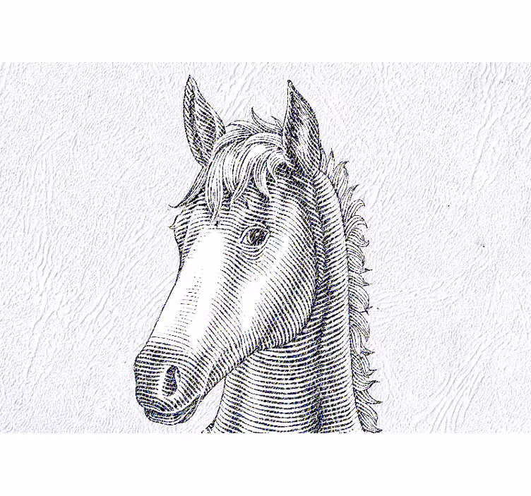 Cute horse ears wall mural - TenStickers