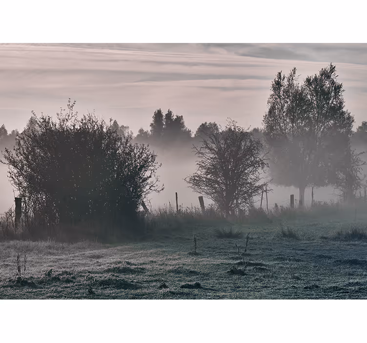 Nature wall mural foggy woodland landscape - TenStickers