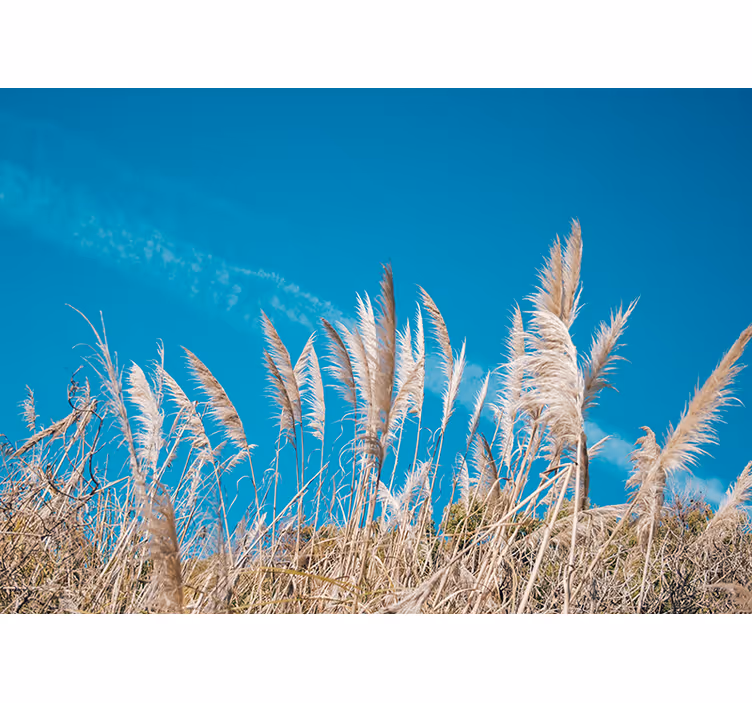 Flower mural pampas grass serenity - TenStickers