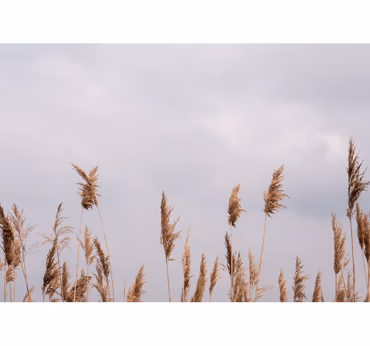 Tree mural tall grass silhouettes - TenStickers