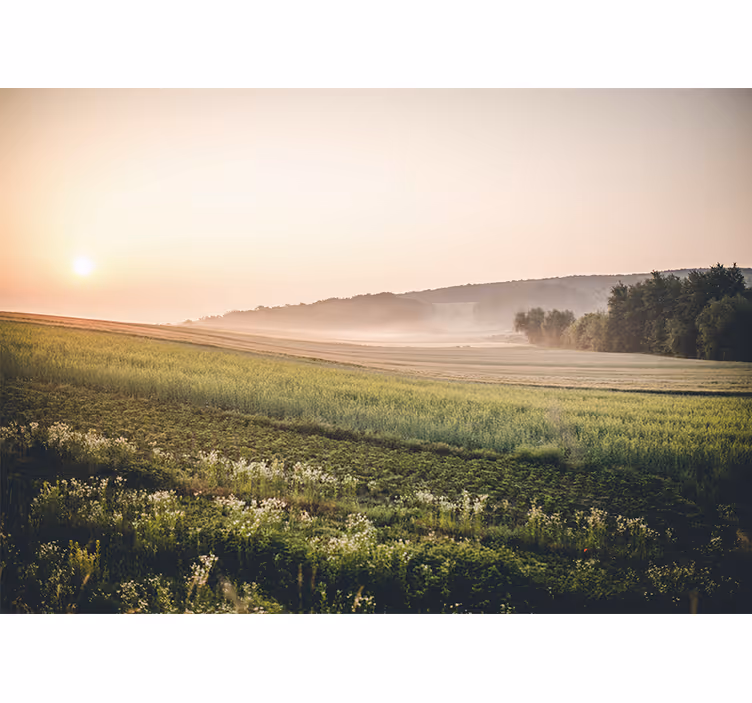Tranquil green meadows landscape mural wallpaper - TenStickers