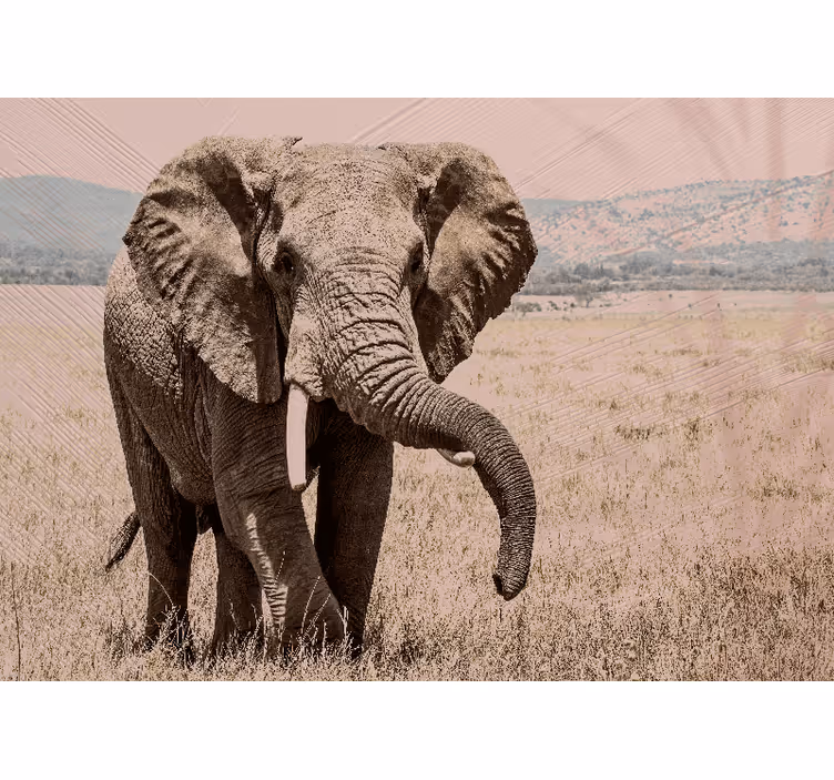 Regal elephant aura wall mural - TenStickers