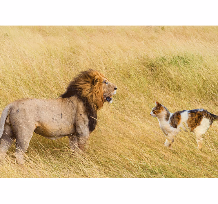 Lion mural lion encounter with cat - TenStickers