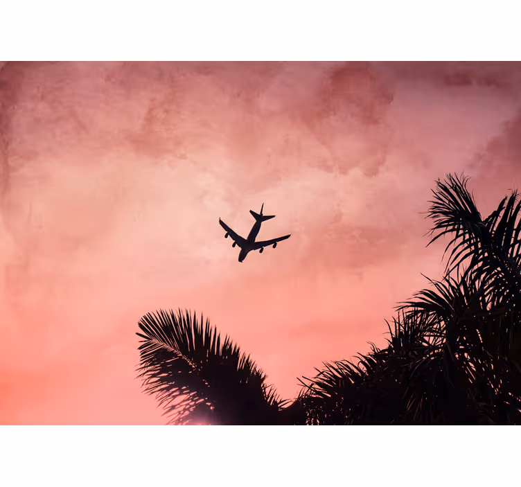Airplane Silhouette at Dusk vehicle mural - TenStickers
