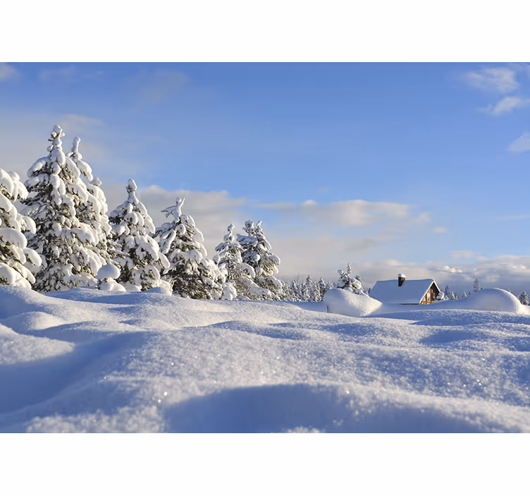 Snow-covered trees and sky Christmas wall mural - TenStickers