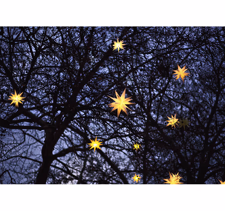 Christmas mural golden starry night - TenStickers