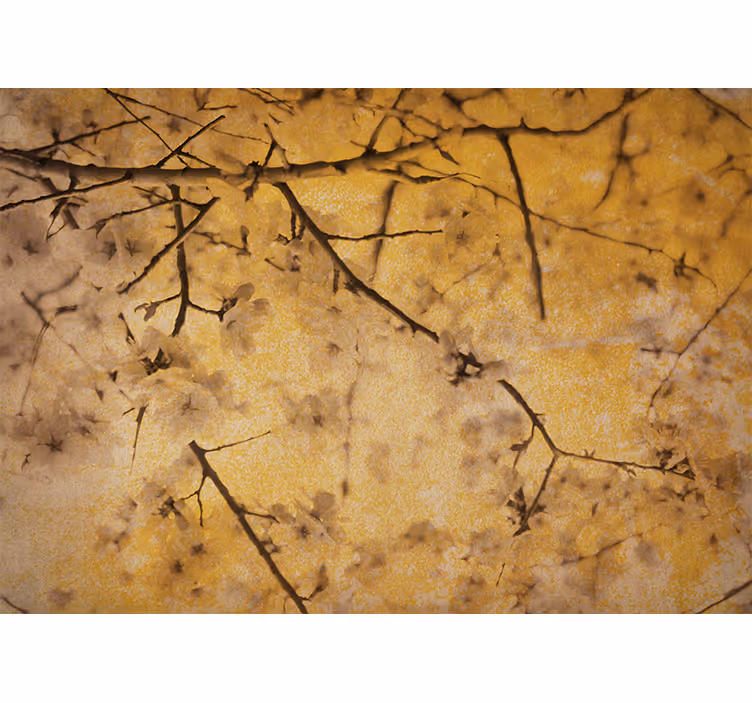 Flower mural cherry blossom branches - TenStickers