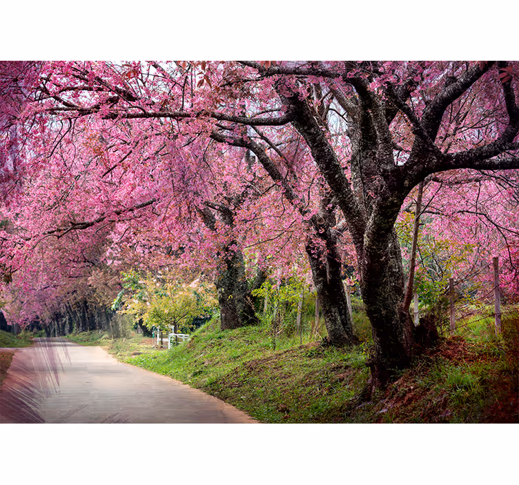 Flower mural blossom path - TenStickers
