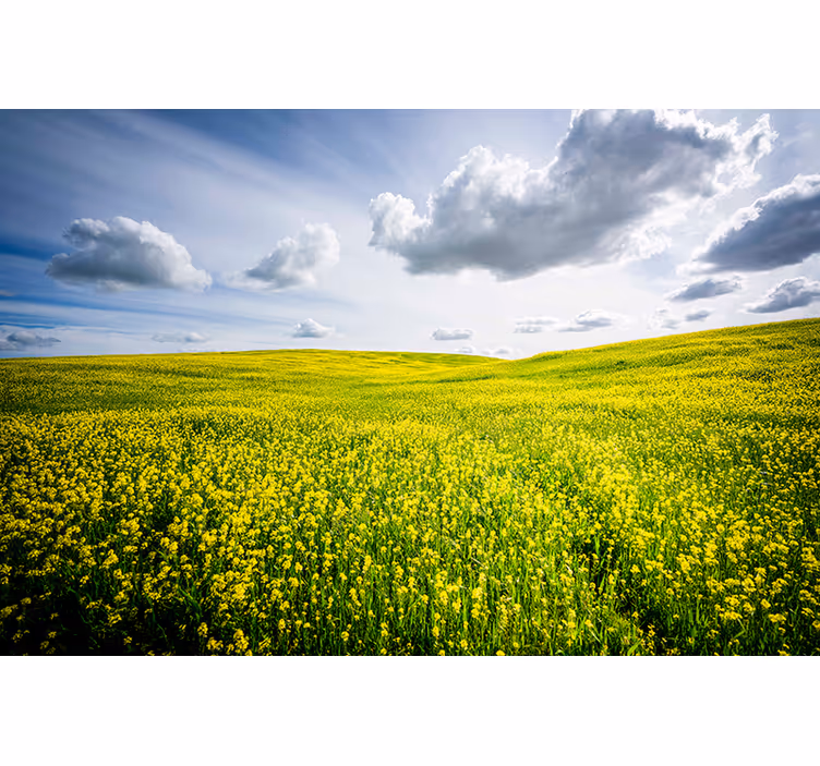 Clouds and field aesthetic nature wall mural - TenStickers