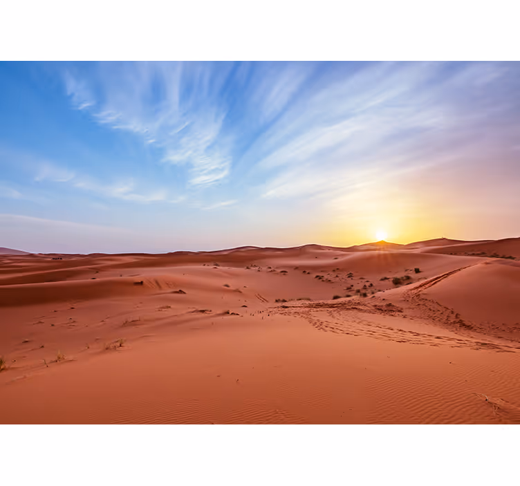 Desert mural golden desert sunset - TenStickers