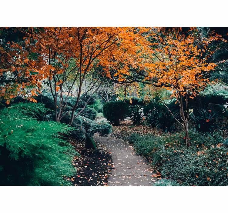 Nature wall mural pathway among trees - TenStickers