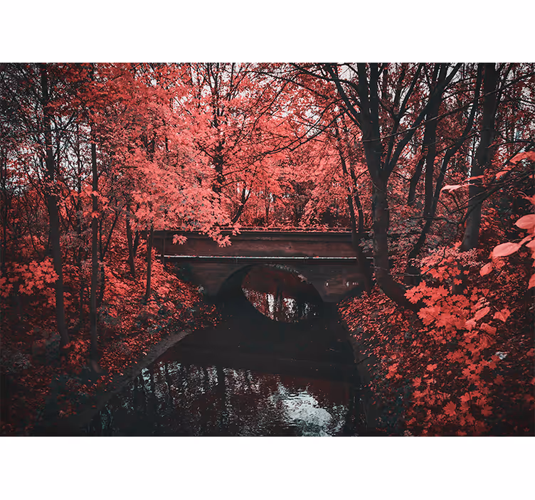 Nature wall mural red leafed forest - TenStickers