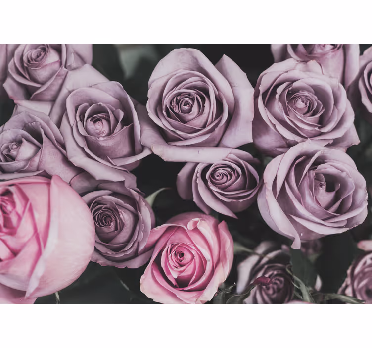 Flower mural lavender rose bouquet - TenStickers