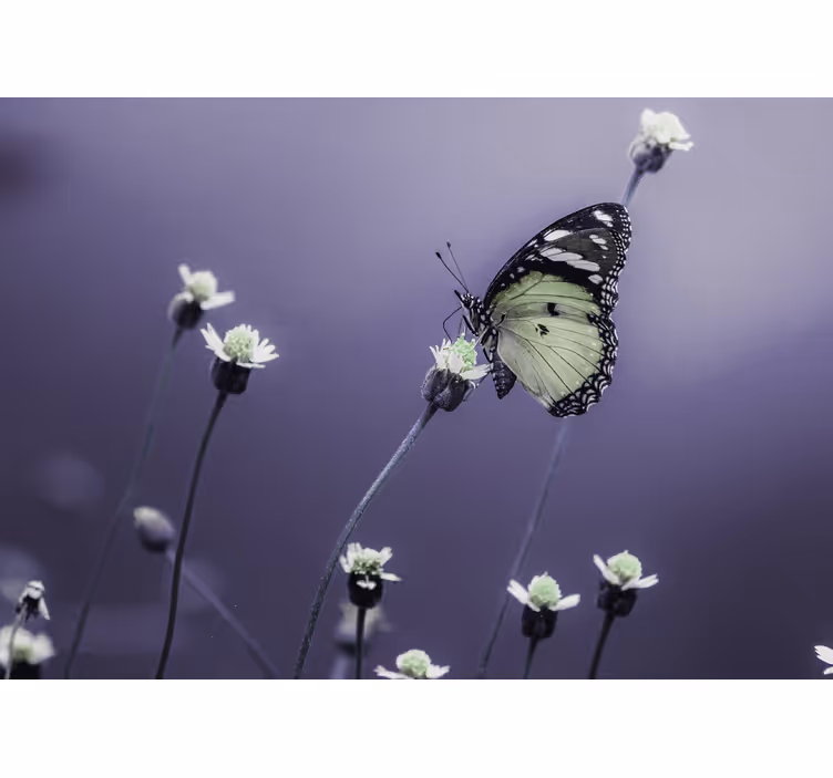 Flower mural butterfly on flowers - TenStickers
