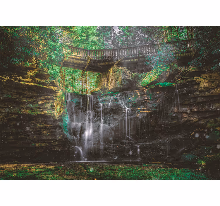 Forest rock with hanging leaves  wall mural - TenStickers