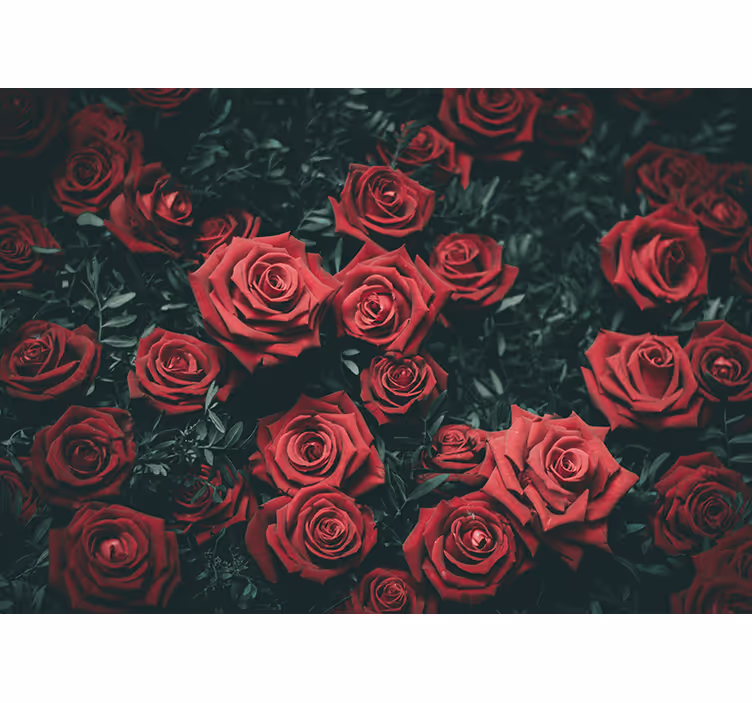 Flower mural romantic red roses design - TenStickers
