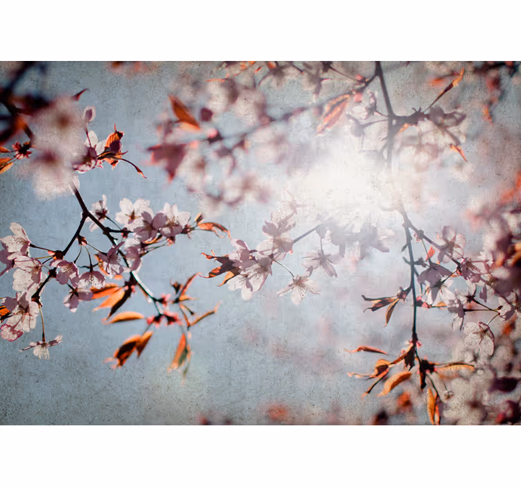 Flower mural sakura branches - TenStickers