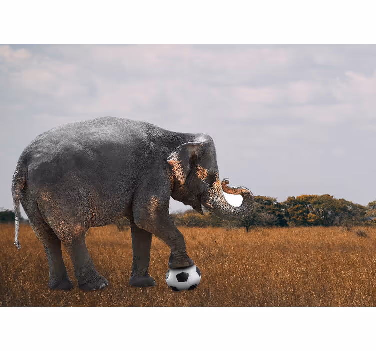 Wall mural elephant playing soccer - TenStickers