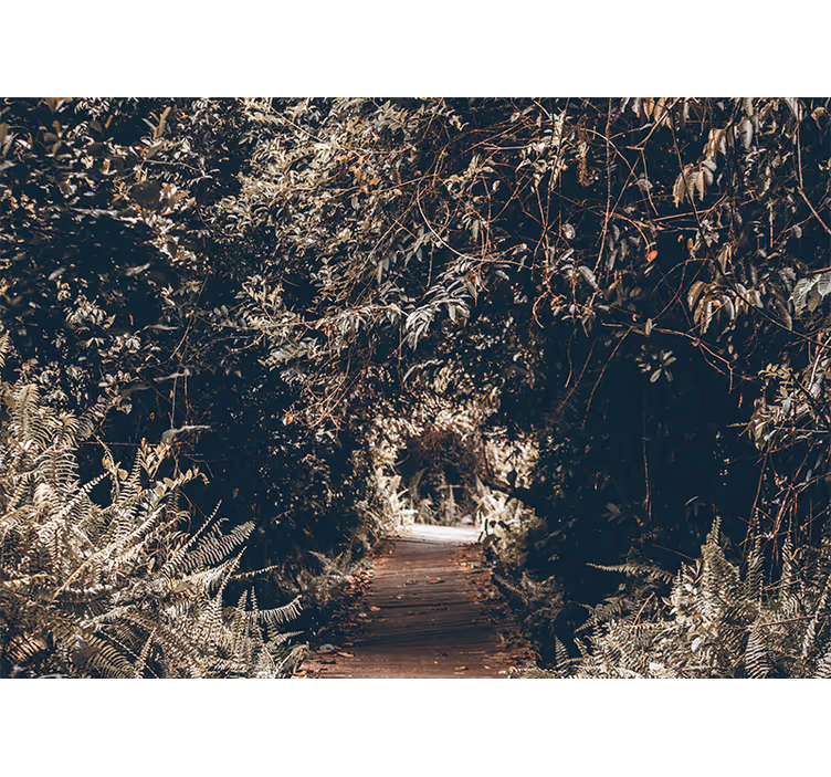 Nature wall mural forest trail path - TenStickers