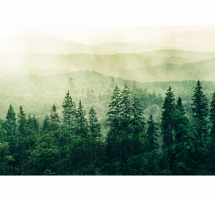 Hill treetop green Forest Wall Mural - TenStickers
