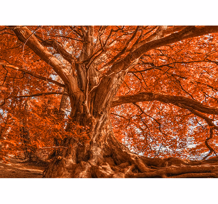 Big beautiful autumn tree Forest Wall Mural - TenStickers