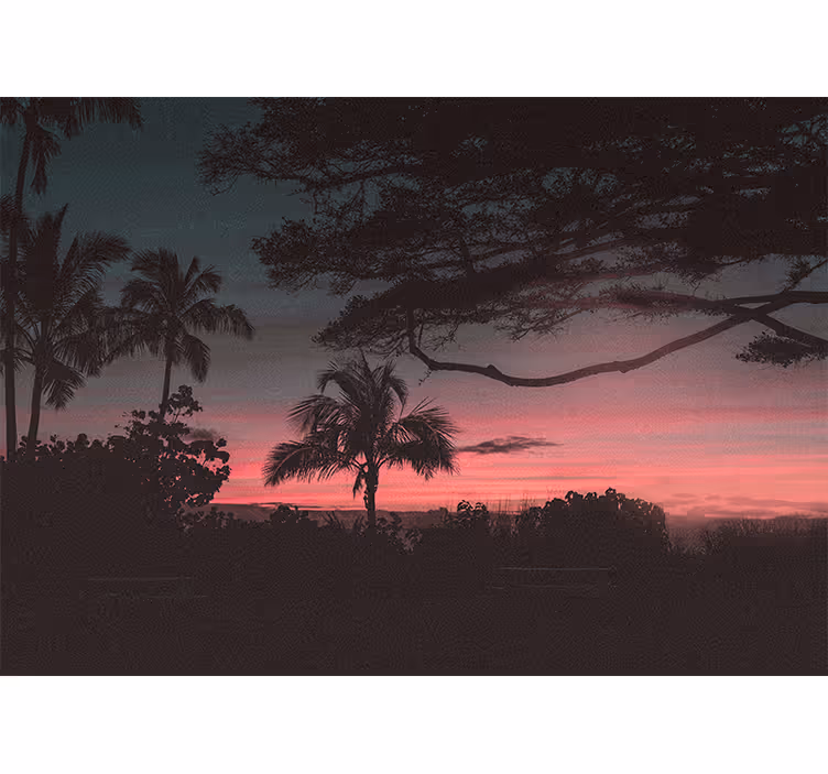 Landscape mural wallpaper tropical sunset silhouette - TenStickers