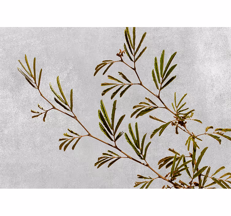 Minimalistic plants with textured wall mural - TenStickers